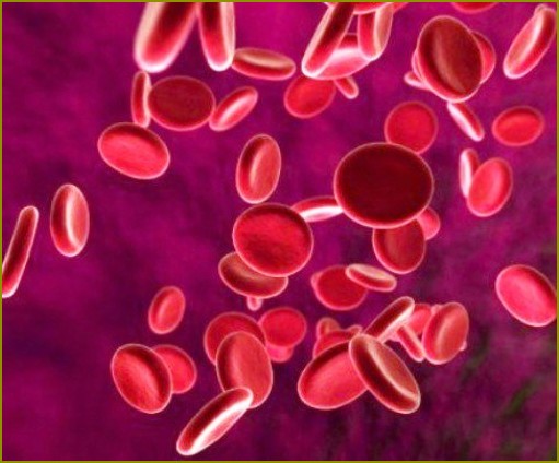 Co to jest hemofilia
