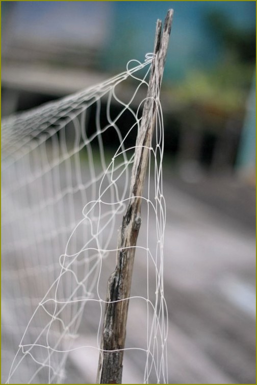 Jak drutach sieć jednym węzłem