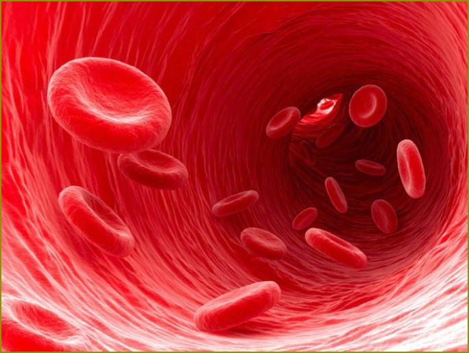 Jak jest przenoszony gen hemofilii