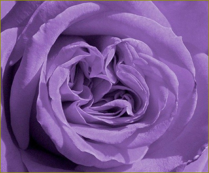Jak mieszać fioletową farbę