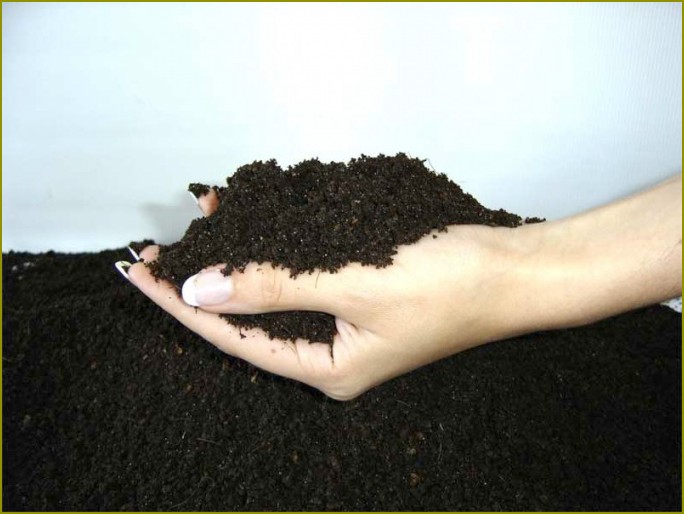 Jak określić typ gleby