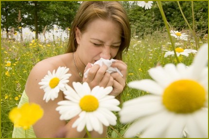 Alergia na pyłki - jedna z najczęstszych