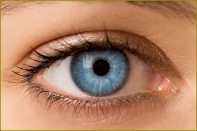 Oko – narząd bardzo wrażliwe na negatywny wpływ