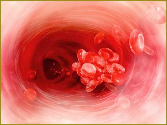 Jak zwiększyć ilość płytek krwi w krwi