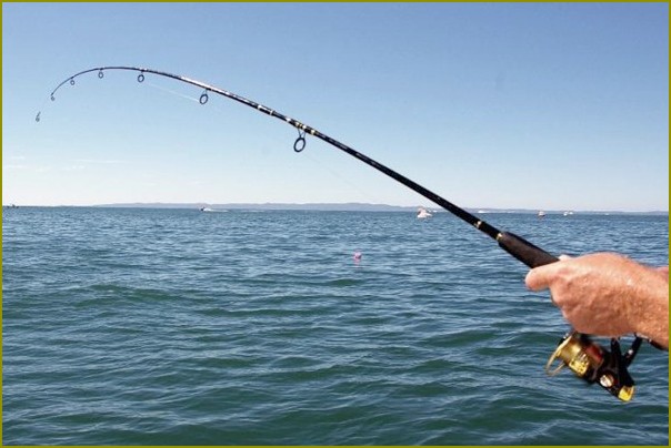 Jak łowić ryby w morzu Czarnym